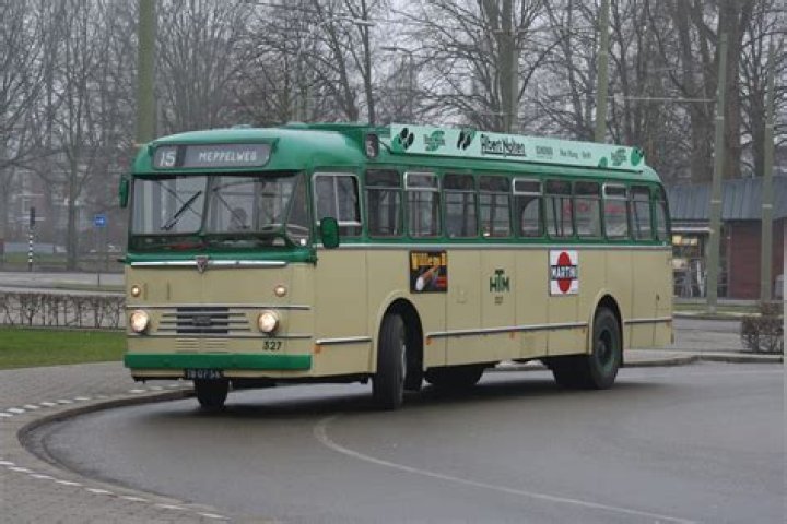 Celebrities born in 1962, Celebrity Birthdays