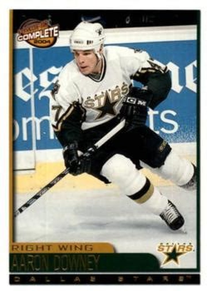 Aaron Downey (hockeyplayer) Wiki,Age,Birthday,Biography,Height,Net Worth ..