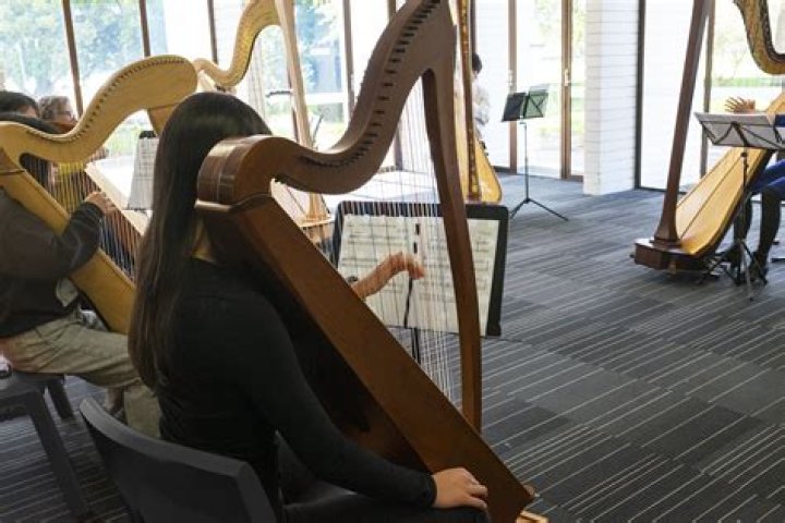 Alex Harp (webvideostar) - Wikipedia, Age, Net Worth, Biography , Spotify, TikTok, Facebook, Facts and Family