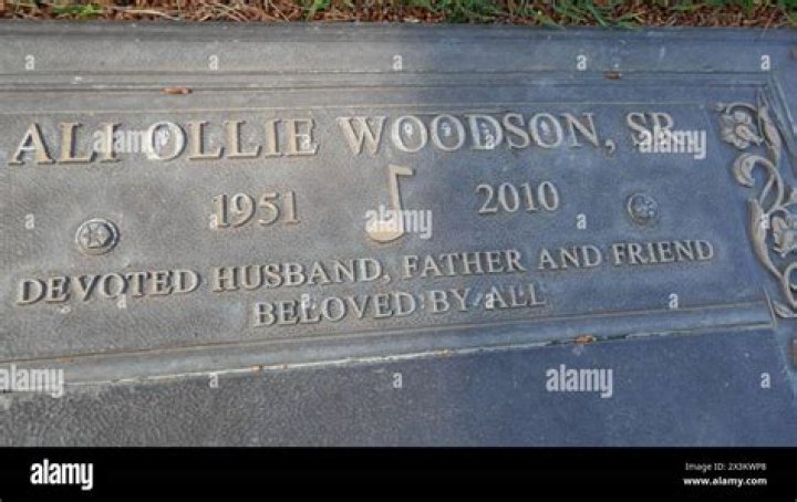 Ali-ollie Woodson (randbsinger) Wiki,Age,Birthday,Biography,Height,Net Worth ..