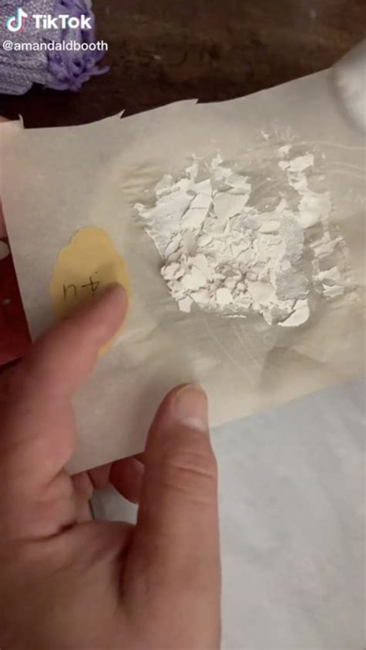 Amanda Booth - Bio, Age, Wiki, Facts and Family