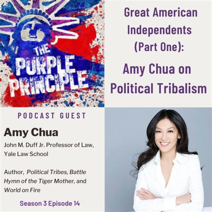 Amy Chua (memoirist) Wiki,Age,Birthday,Biography,Height,Net Worth ..