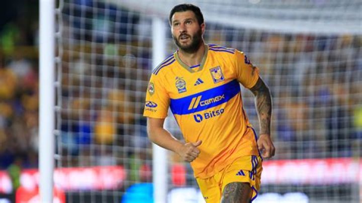 Andre-Pierre Gignac (soccerplayer) Wiki,Age,Birthday,Biography,Height,Net Worth ..