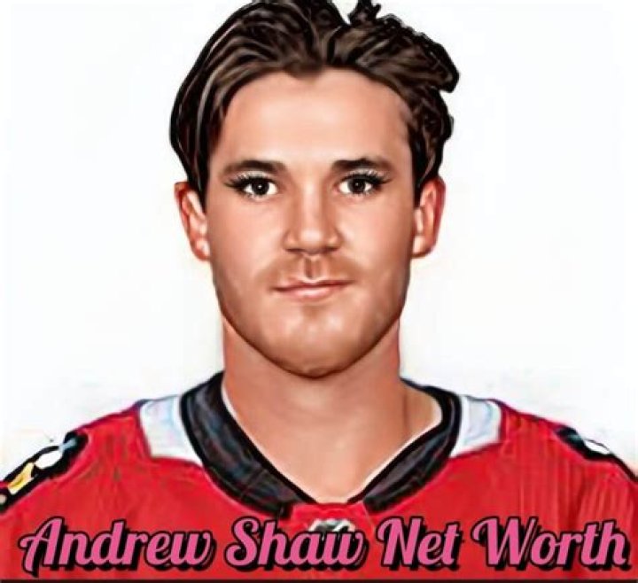 Andrew Shaw (hockeyplayer) Wiki,Age,Birthday,Biography,Height,Net Worth ..