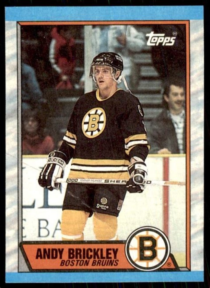 Andy Brickley (hockeyplayer) Wiki,Age,Birthday,Biography,Height,Net Worth ..