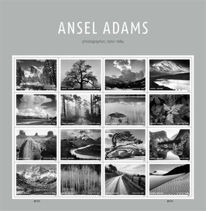 Ansel Adams (photographer) Wiki,Age,Birthday,Biography,Height,Net Worth ..