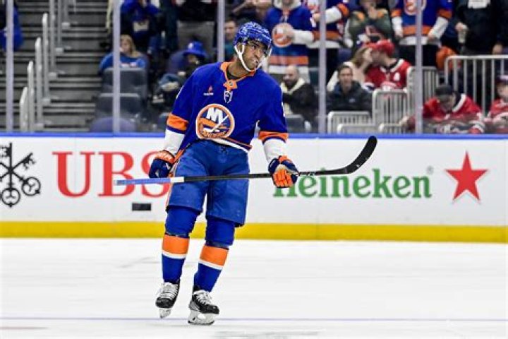 Anthony Duclair (hockeyplayer) Wiki,Age,Birthday,Biography,Height,Net Worth ..