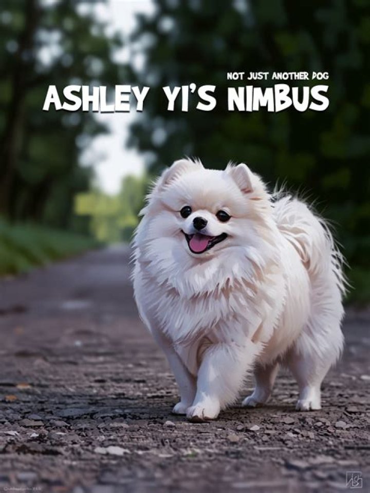 Ashley Yi - Bio, Age, Wiki, Facts and Family