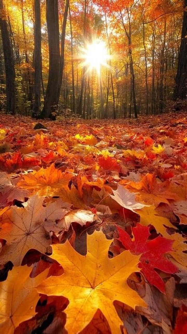 Autumn Wendel (tvactress) Wiki,Age,Birthday,Biography,Height,Net Worth ..