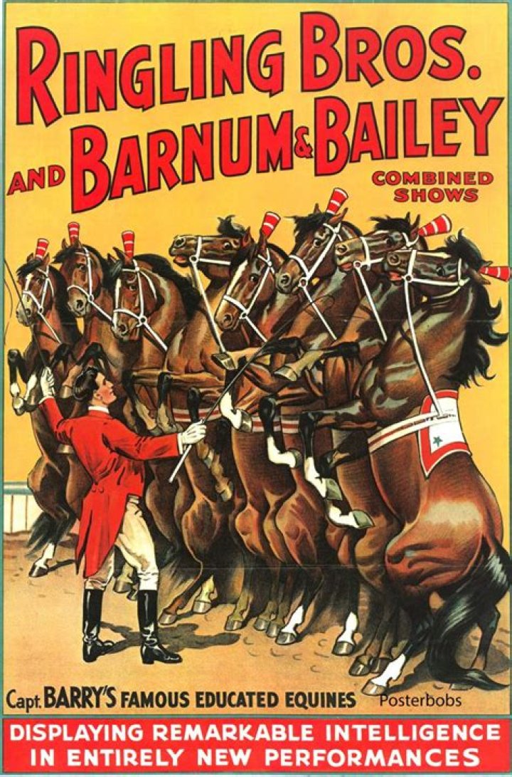 Bailey Shows - Bio, Age, Wiki, Facts and Family