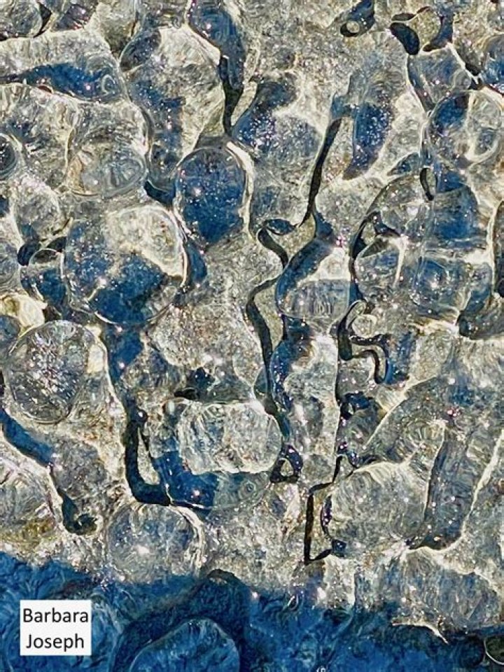 Barbara Perez - Bio, Age, Wiki, Facts and Family