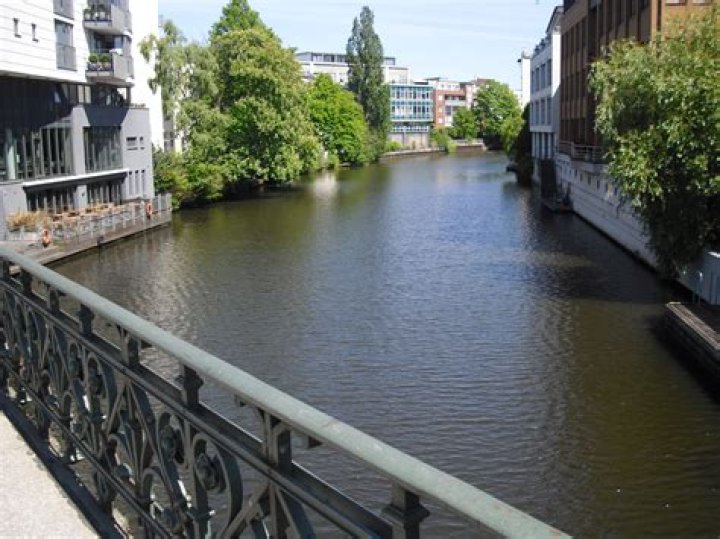 Berner - Bio, Age, Wiki, Facts and Family