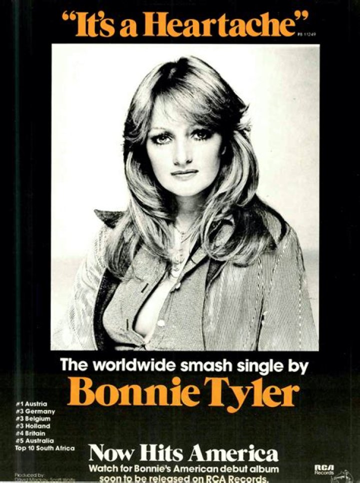 Bonnie Tyler - Bio, Age, Wiki, Facts and Family