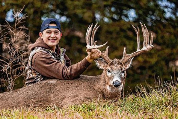 Brandon Butler - Bio, Age, Wiki, Facts and Family