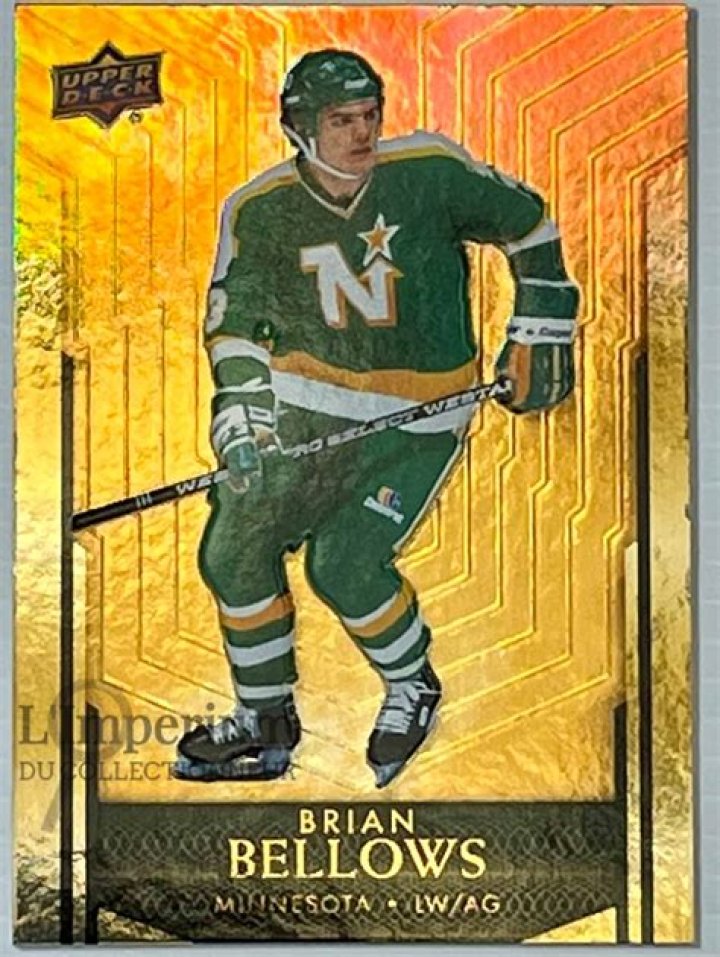 Brian Bellows - Bio, Age, Wiki, Facts and Family