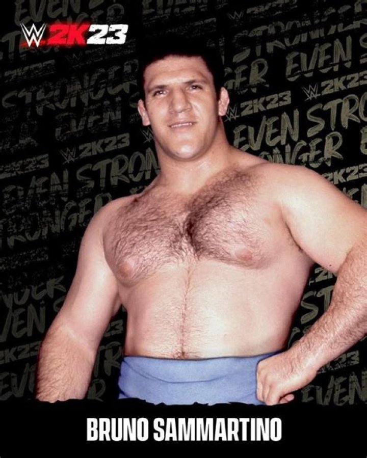Bruno Sammartino - Bio, Age, net worth, height, Wiki, Facts and Family