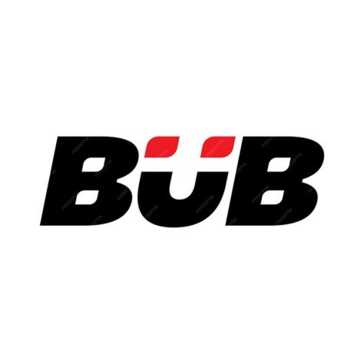 Bun B - Bio, Age, net worth, height, Wiki, Facts and Family