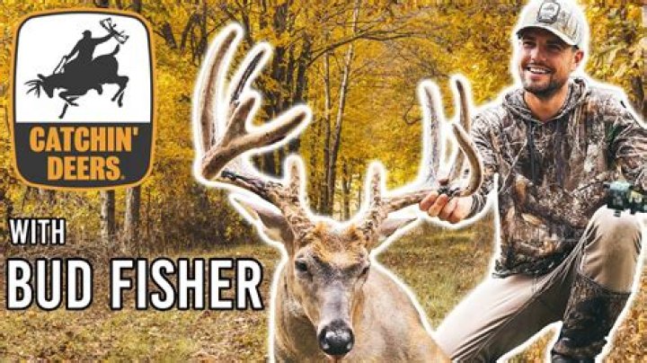 Bud Fisher - Bio, Age, Wiki, Facts and Family