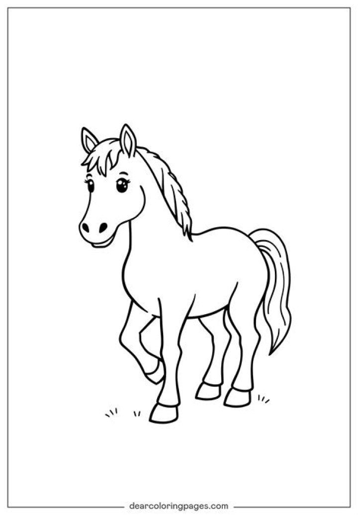 Cara Cavalli - Bio, Age, Wiki, Facts and Family