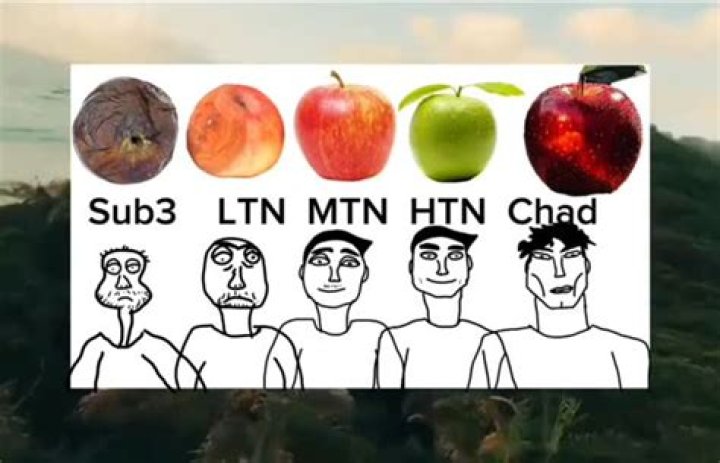 Chad White - Bio, Age, Wiki, Facts and Family