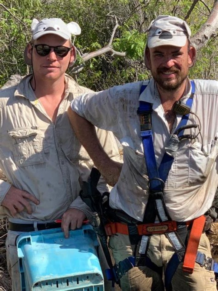 Chris Sebastian - Bio, Age, Wiki, Facts and Family