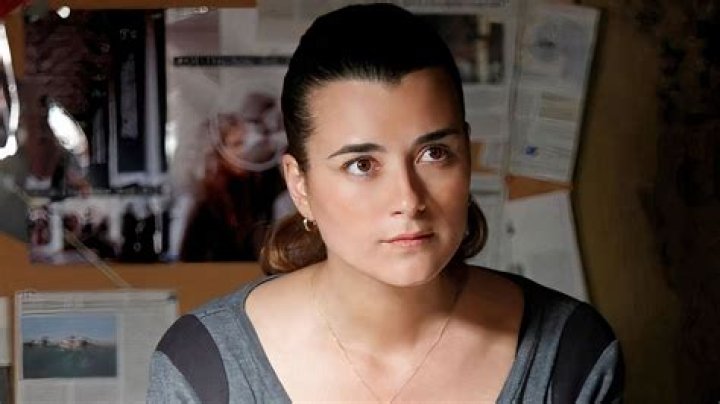 Cote de Pablo - Bio, Age, Wiki, Facts and Family