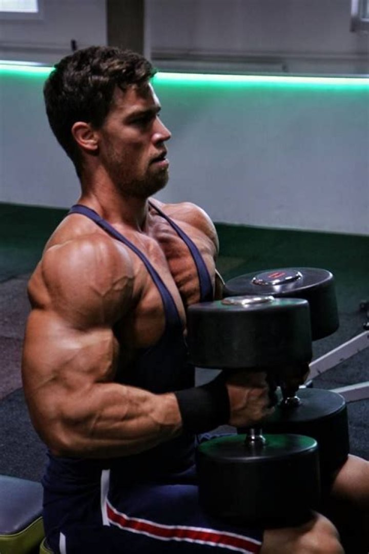 Csaba Szigeti - Biography, Age, Wiki, Facts and Family