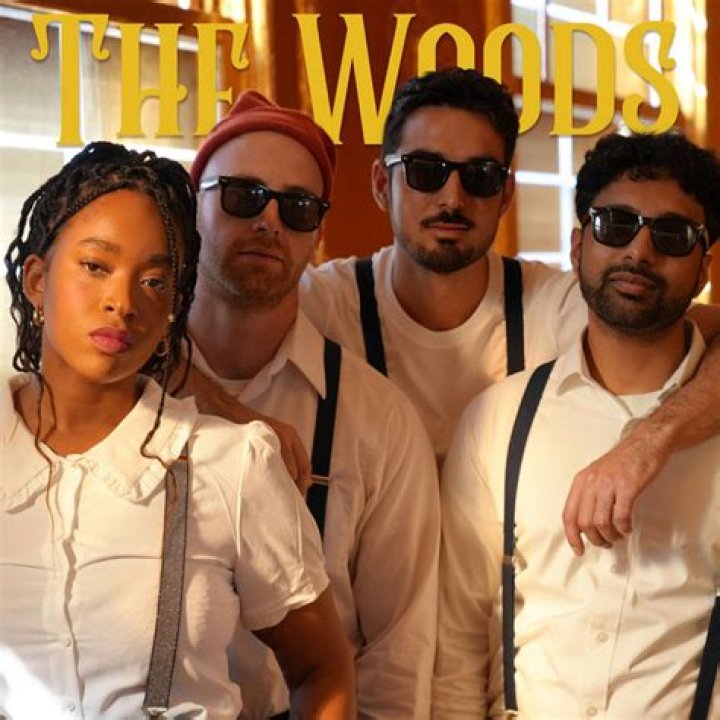 D Woods - Bio, Age, Wiki, Facts and Family