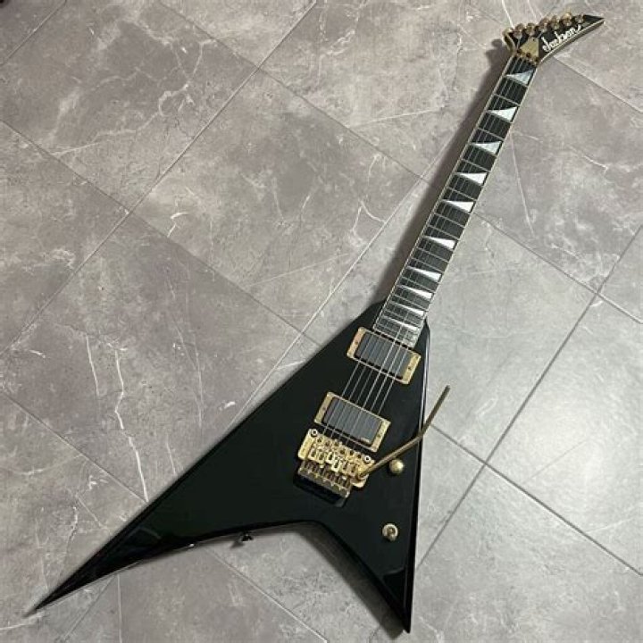 Dan Spitz - Bio, Age, height, Wiki, Facts and Family