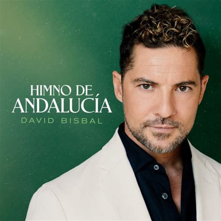 David Bisbal - Bio, Age, net worth, height, Wiki, Facts and Family