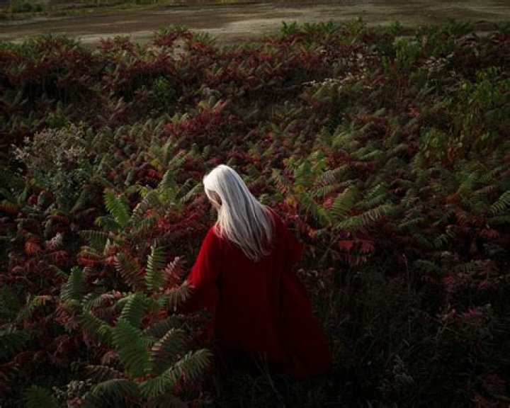 David Alan Harvey - Bio, Age, Wiki, Facts and Family