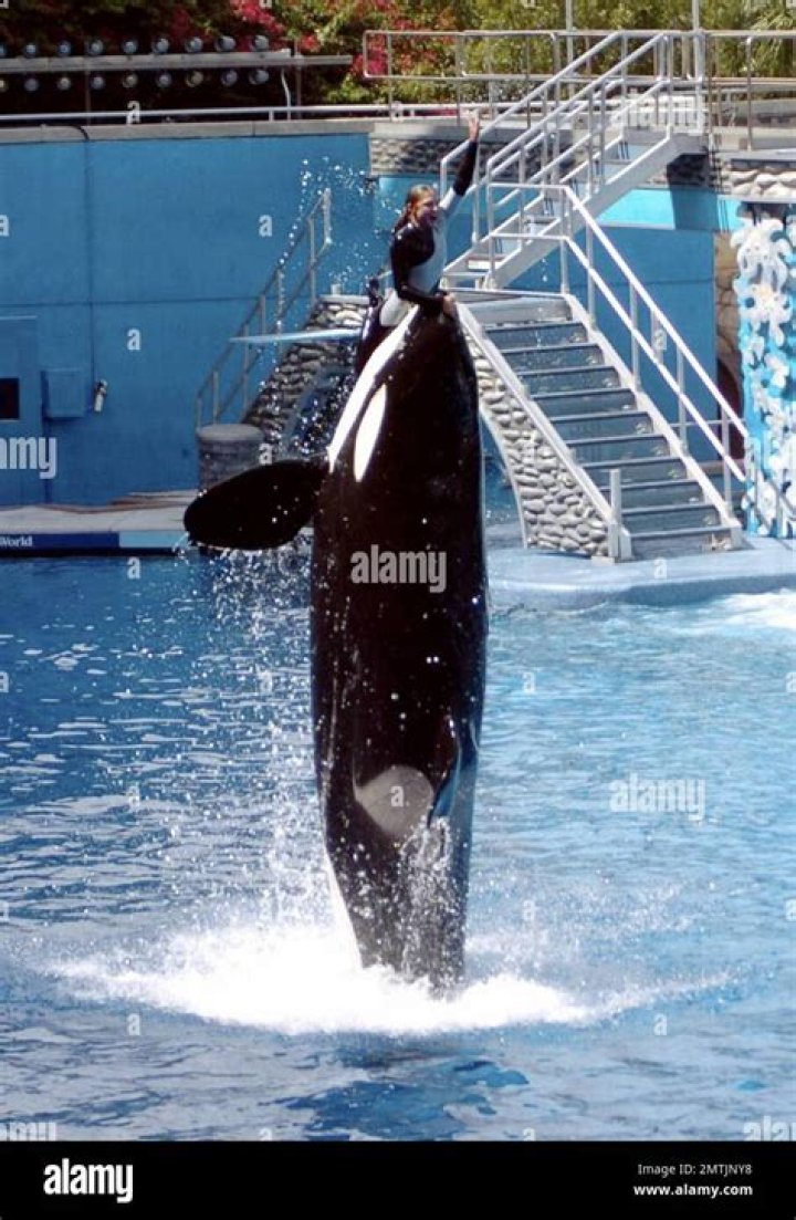 Dawn Therese Brancheau - Bio, Age, Wiki, Facts and Family