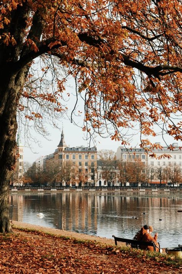 Famous People's Birthdays, october 15, Denmark Celebrity Birthdays