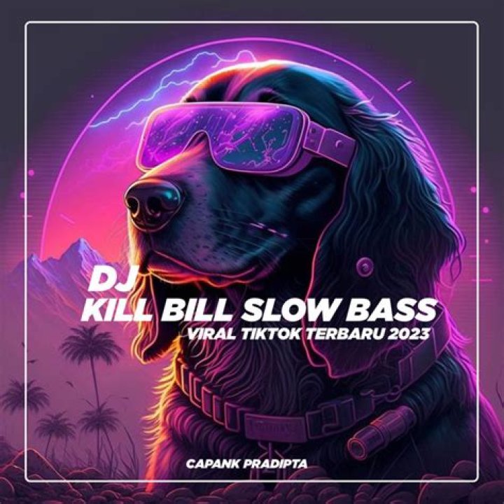 DJ Kill Bill - Bio, Age, Wiki, Facts and Family