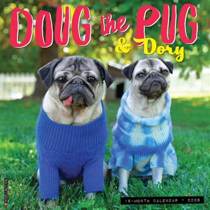 Doug The Pug - Bio, Age, Wiki, Facts and Family