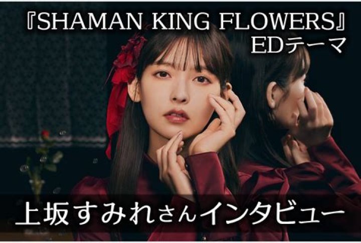 Ed King - Bio, Age, net worth, Wiki, Facts and Family