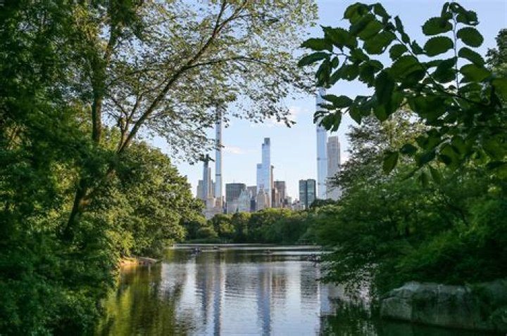 Eden Wood - Bio, Age, Wiki, Facts and Family