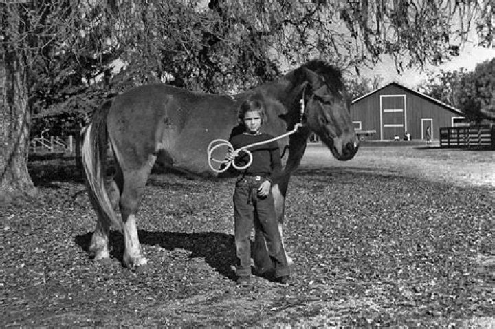 Edie Sedgwick - Bio, Age, Wiki, Facts and Family