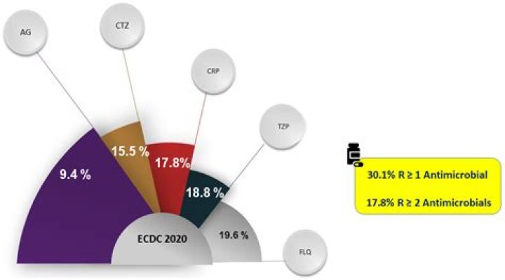 Eli Cintron - Bio, Age, Wiki, Facts and Family