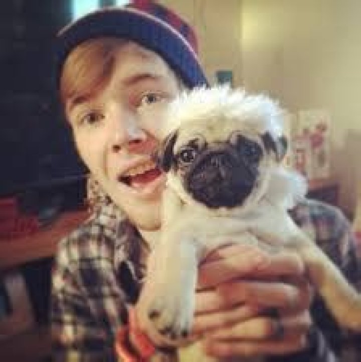 Ellie The Pug - Bio, Age, Wiki, Facts and Family