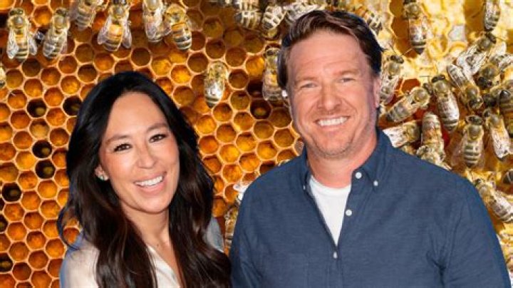 Emmie Gaines - Bio, Age, Wiki, Facts and Family