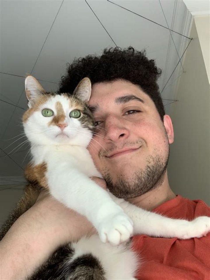 Ethan Embry - Bio, Age, net worth, siblings, height, Wiki, Facts and Family