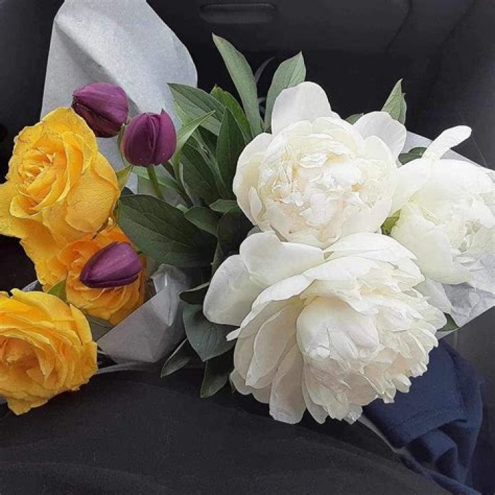 Felix Silla - Bio, Age, net worth, height, Wiki, Facts and Family