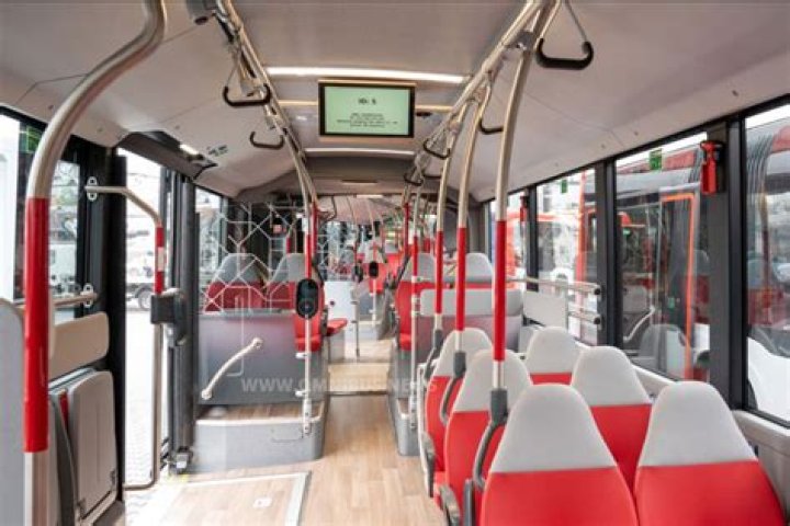 G.G. - Bio, Age, Wiki, Facts and Family