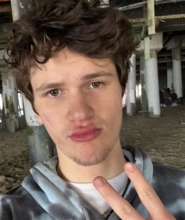 Gabriel Bateman - Bio, Age, Wiki, Facts and Family