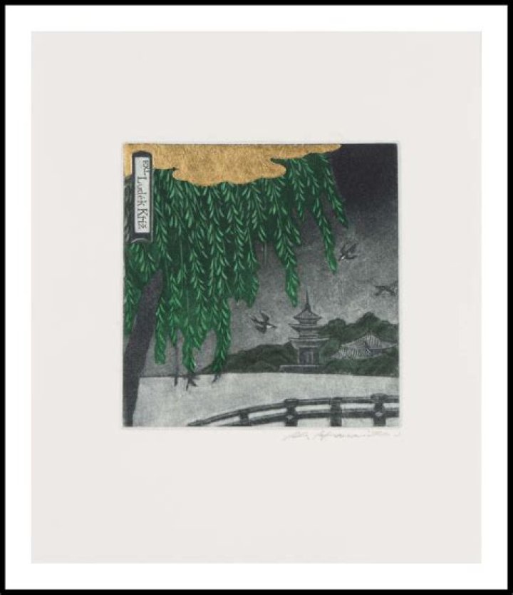 Geoff Hamanishi - Bio, Age, Wiki, Facts and Family