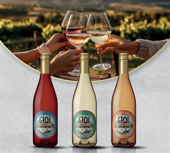 Giolì - Bio, Age, Wiki, Facts and Family