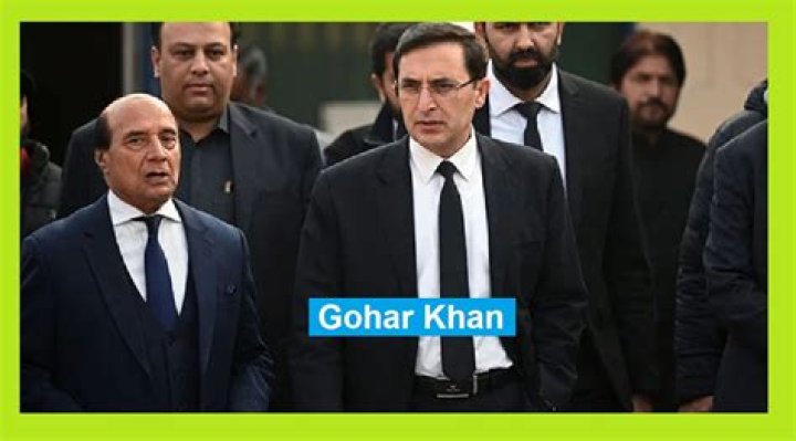 Gohar Khan (webvideostar)-Wiki, Age, Net Worth, Biography , Spotify, TikTok, Facebook, Facts and Family