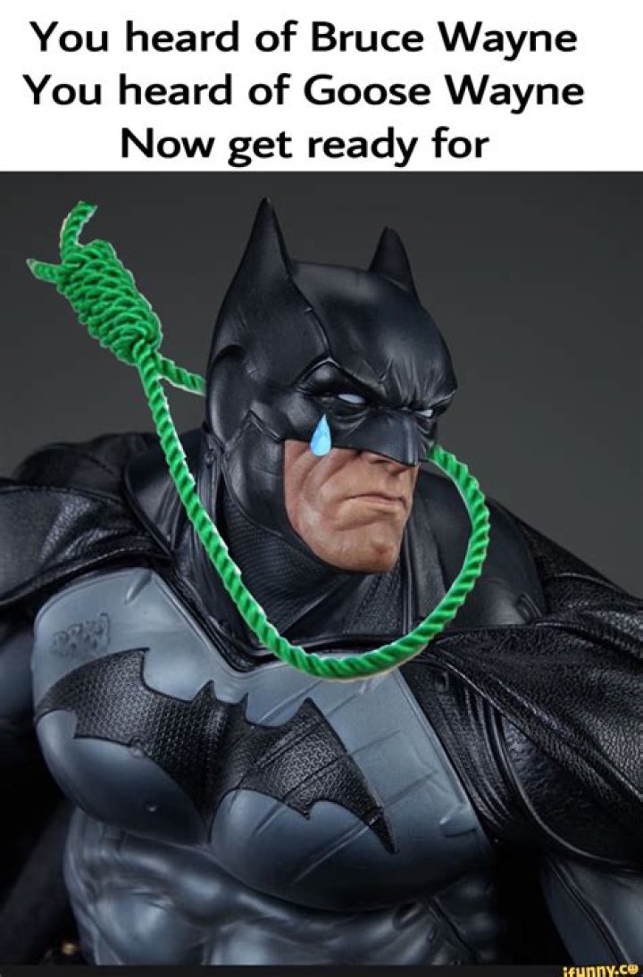 Goose Wayne - Bio, Age, Wiki, Facts and Family