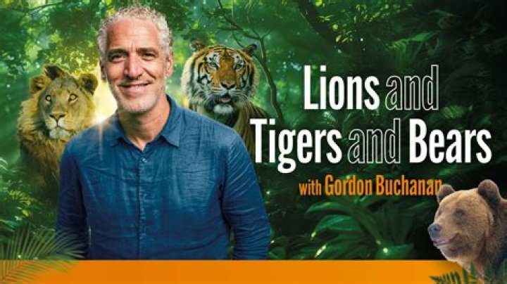 Gordon Buchanan - Bio, Age, Wiki, Facts and Family